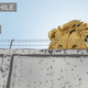 Image for article titled Meanwhile in the Future: Endangered Animals Live in Armored Zoos